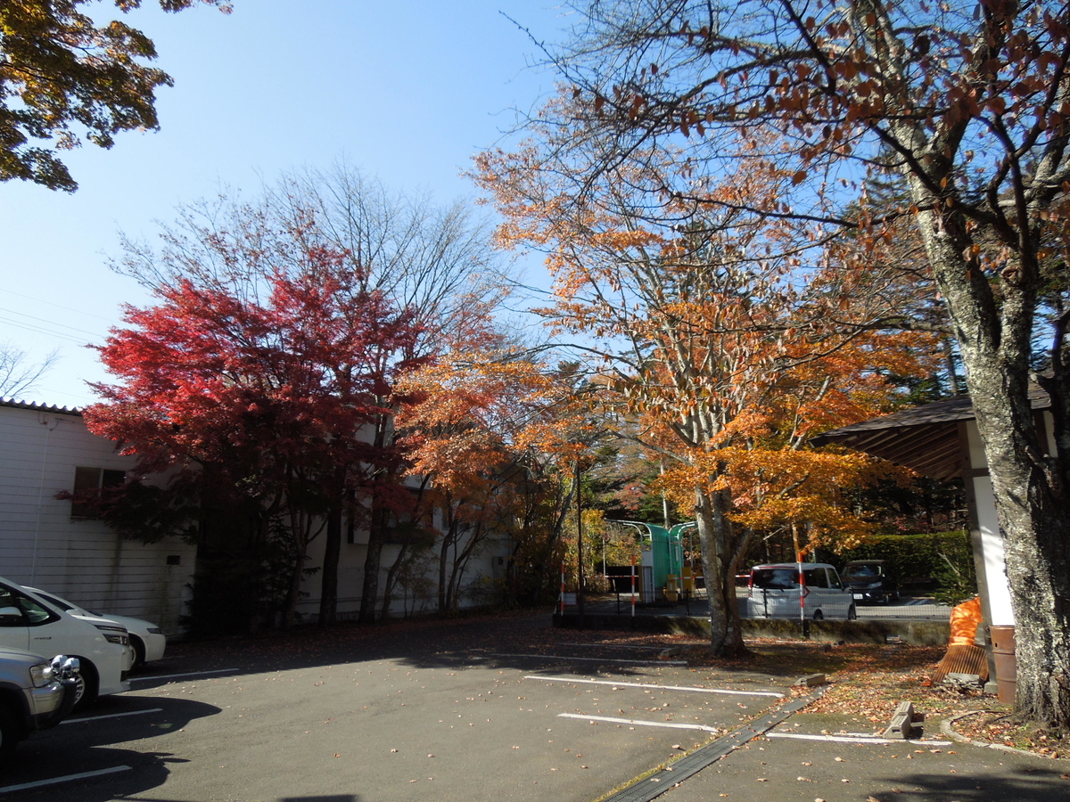 f:id:Ikegamiblog_tokyo:20191111115229j:plain