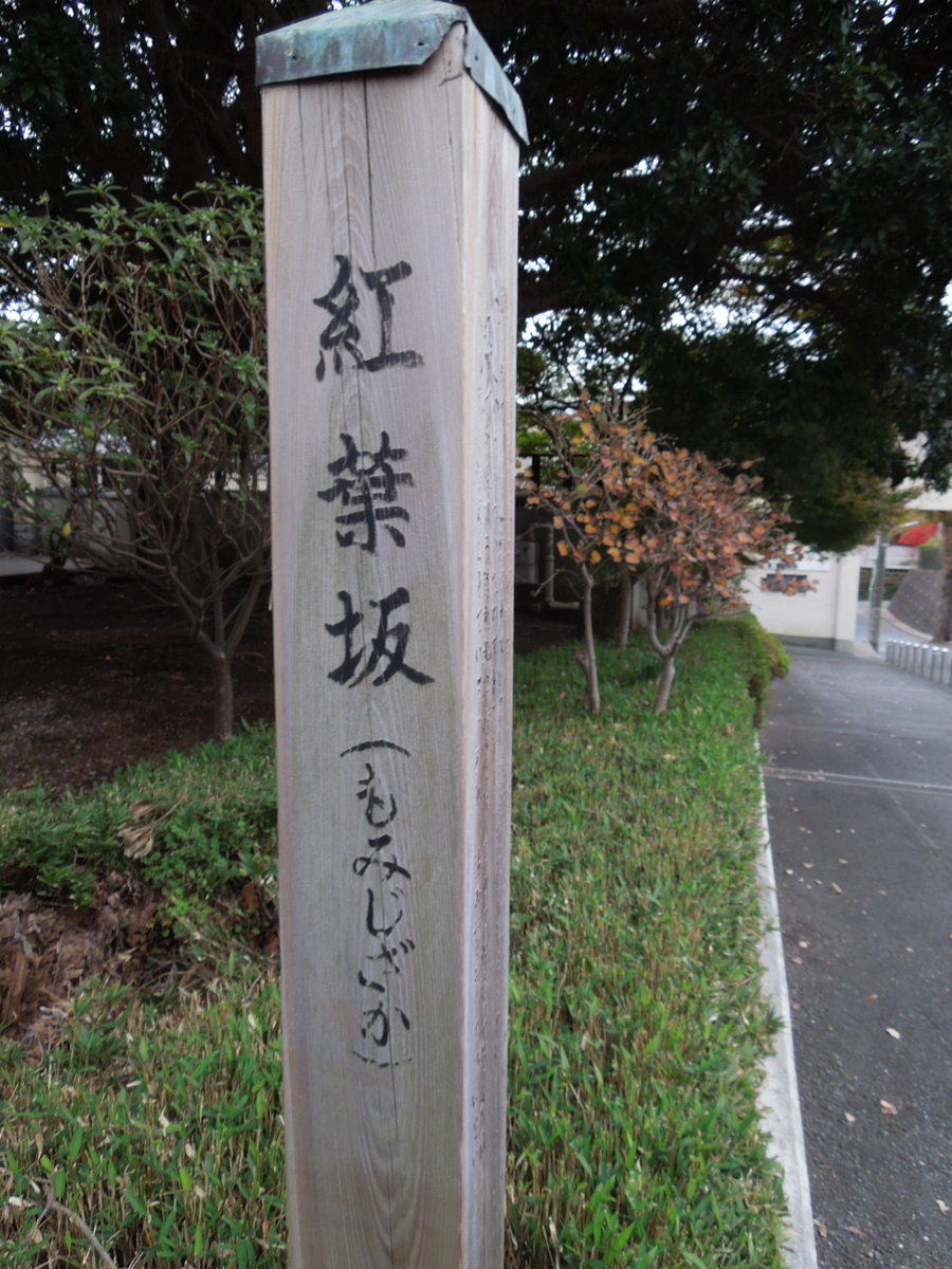 f:id:Ikegamiblog_tokyo:20191209171406j:plain f:id:Ikegamiblog_tokyo:20191209171406j:plain