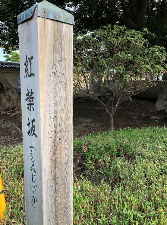 f:id:Ikegamiblog_tokyo:20191211120853j:plain f:id:Ikegamiblog_tokyo:20191211120853j:plain