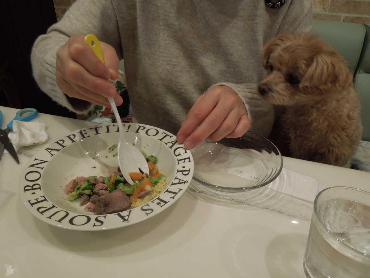 f:id:Ikegamiblog_tokyo:20191223230744j:plain