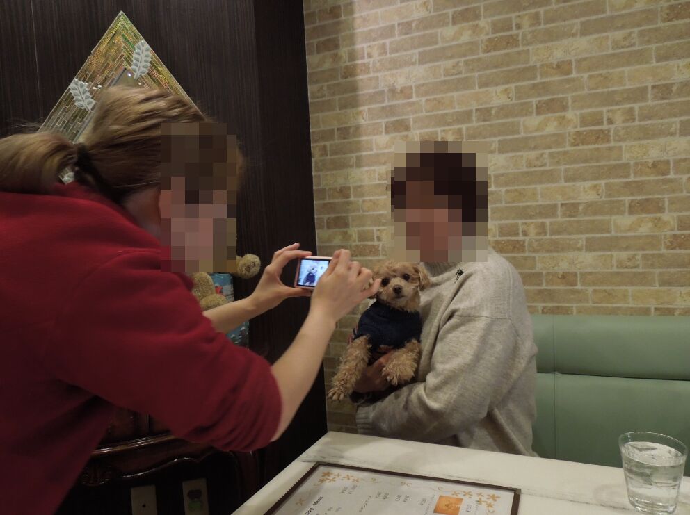f:id:Ikegamiblog_tokyo:20191226090217j:plain