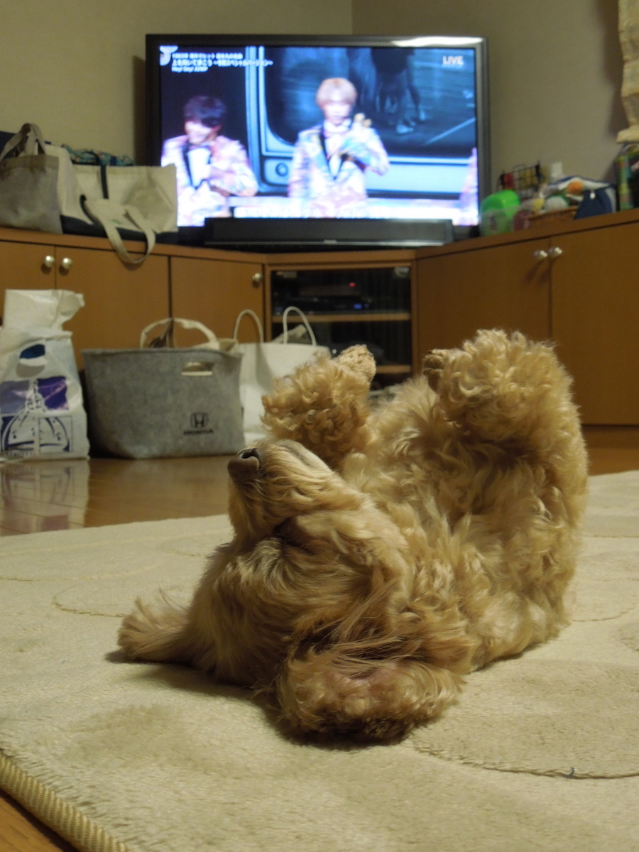 f:id:Ikegamiblog_tokyo:20191231224720j:plain f:id:Ikegamiblog_tokyo:20191231224720j:plain