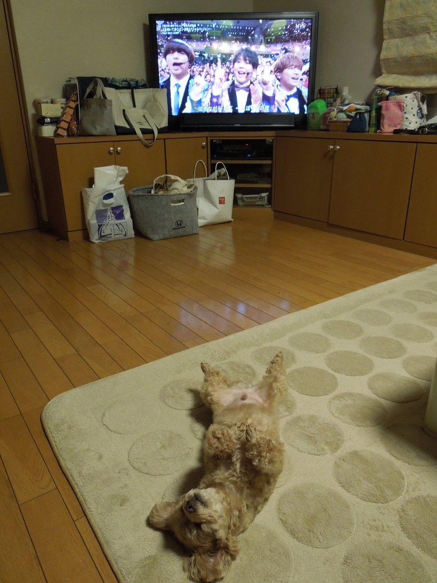 f:id:Ikegamiblog_tokyo:20191231224858j:plain f:id:Ikegamiblog_tokyo:20191231224858j:plain