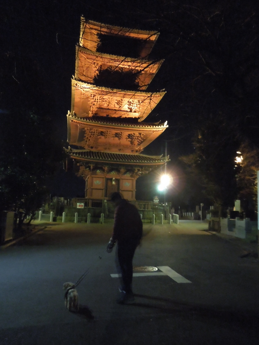 f:id:Ikegamiblog_tokyo:20200102114220j:plain f:id:Ikegamiblog_tokyo:20200102114220j:plain