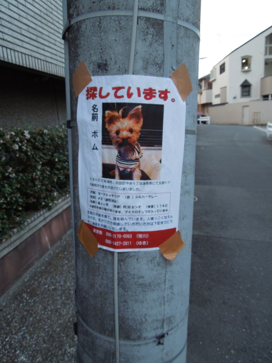 f:id:Ikegamiblog_tokyo:20200104154112j:plain f:id:Ikegamiblog_tokyo:20200104154112j:plain
