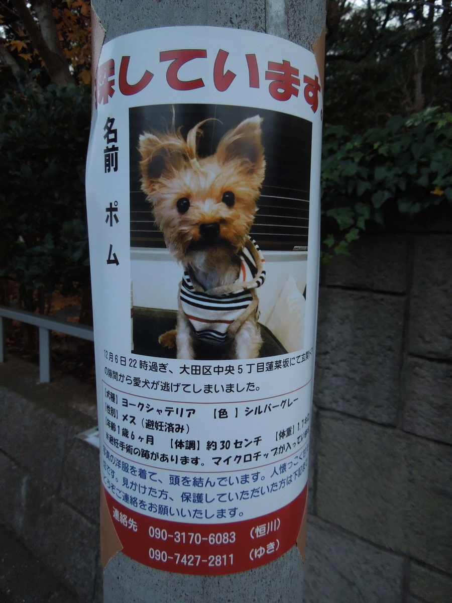 f:id:Ikegamiblog_tokyo:20200104154138j:plain f:id:Ikegamiblog_tokyo:20200104154138j:plain