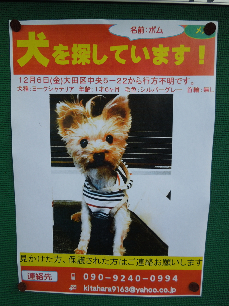 f:id:Ikegamiblog_tokyo:20200104154334j:plain f:id:Ikegamiblog_tokyo:20200104154334j:plain