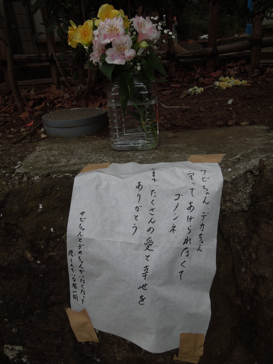 f:id:Ikegamiblog_tokyo:20200216203510j:plain