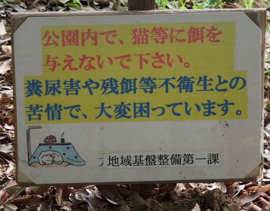 f:id:Ikegamiblog_tokyo:20200217185616j:plain