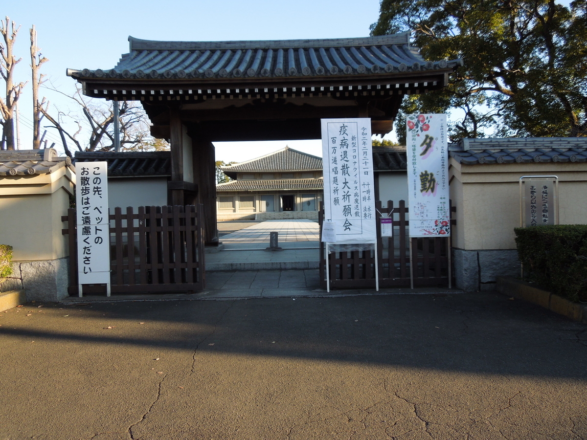 f:id:Ikegamiblog_tokyo:20200219123728j:plain
