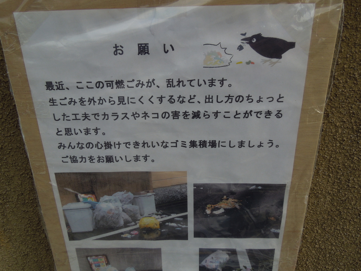 f:id:Ikegamiblog_tokyo:20200224144846j:plain