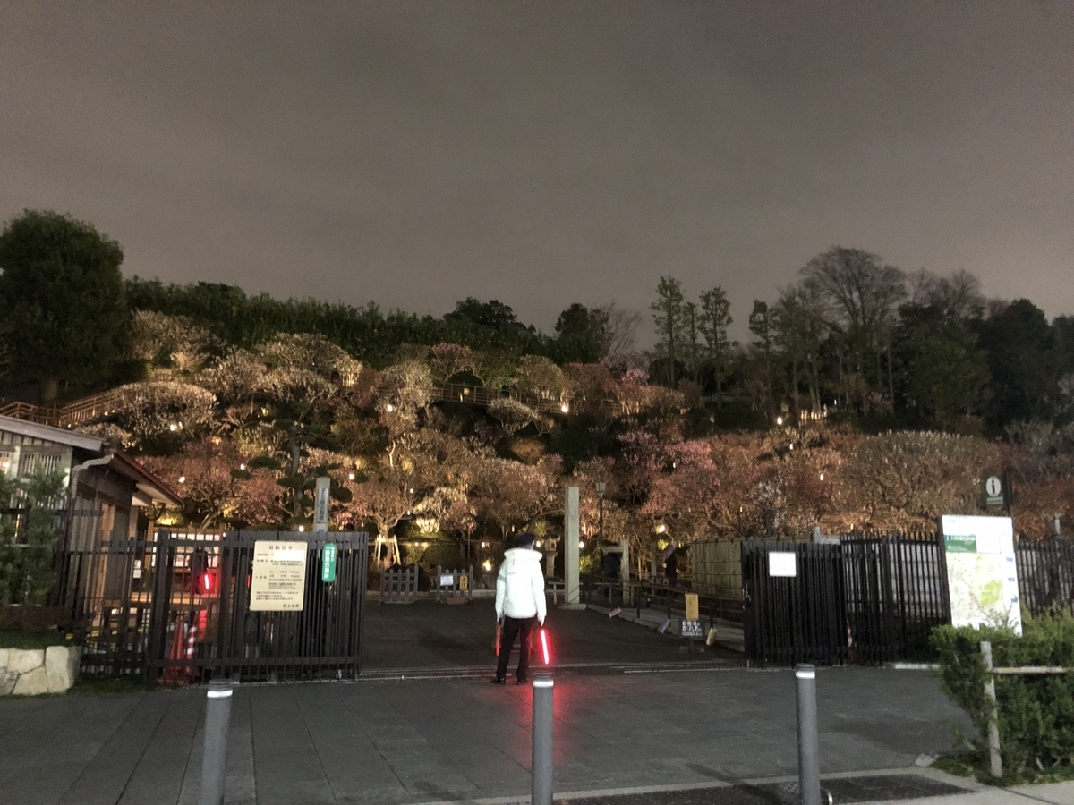 f:id:Ikegamiblog_tokyo:20200224210130j:plain