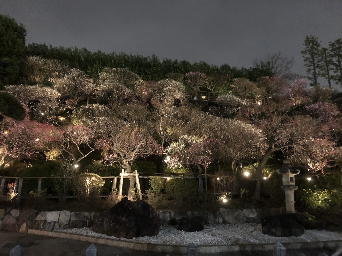 f:id:Ikegamiblog_tokyo:20200224210400j:plain