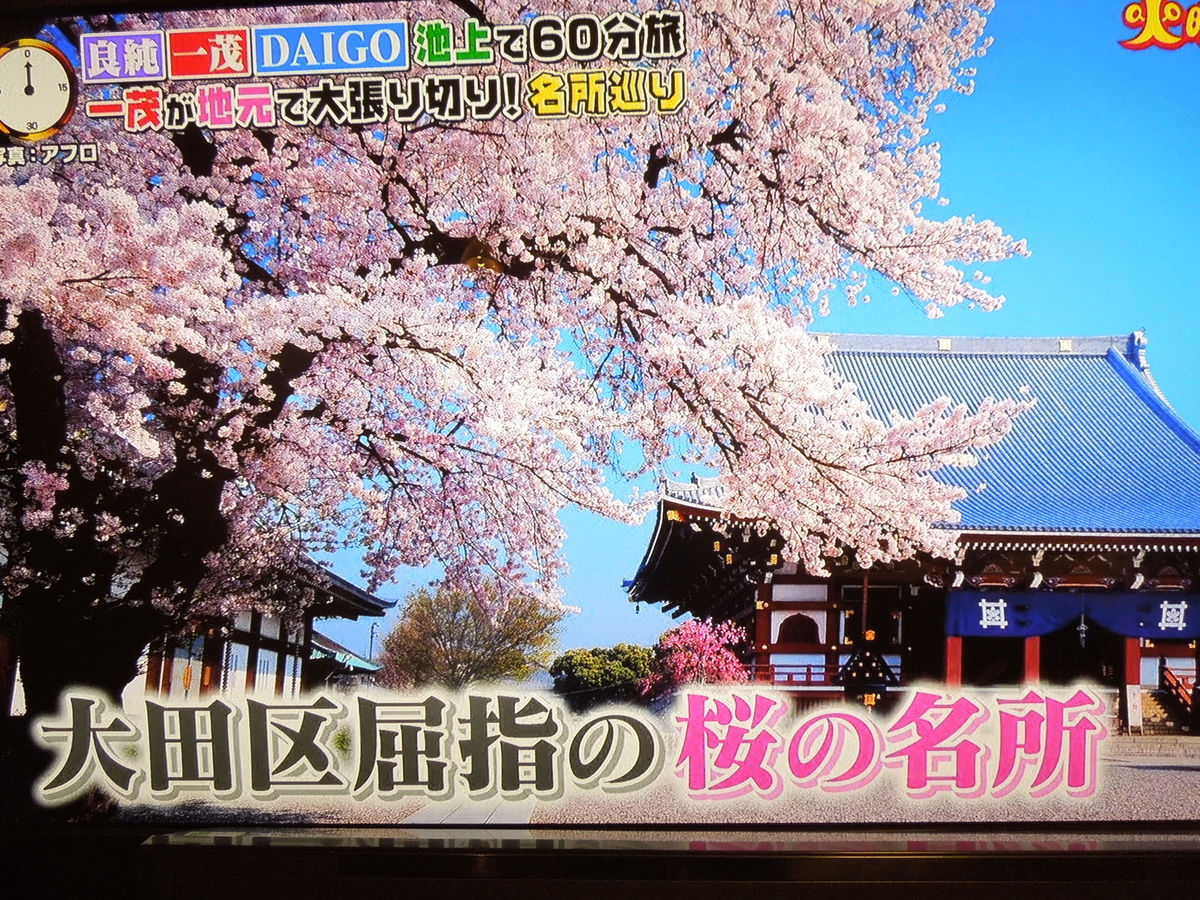 f:id:Ikegamiblog_tokyo:20200324200540j:plain