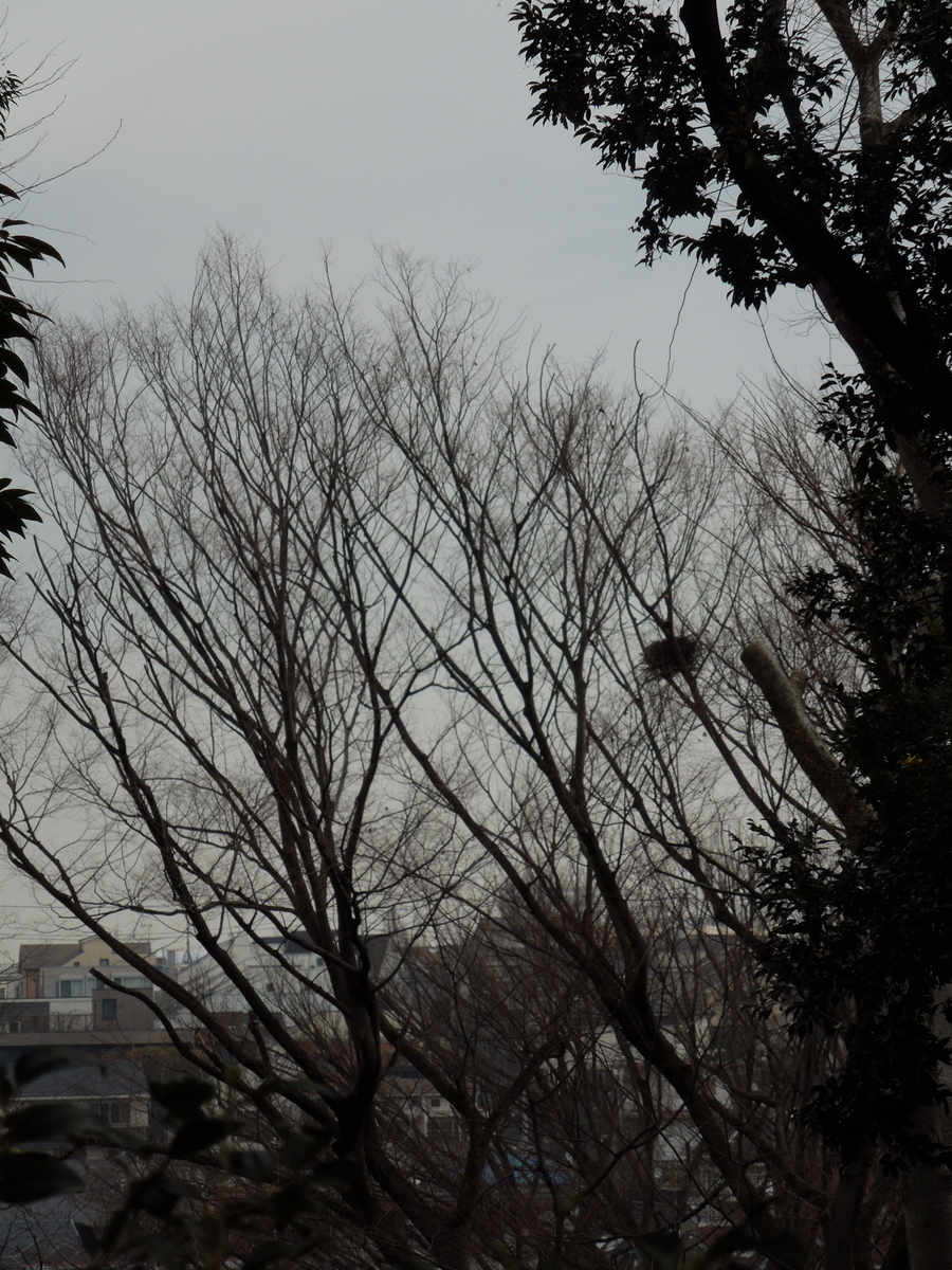 f:id:Ikegamiblog_tokyo:20200414192601j:plain f:id:Ikegamiblog_tokyo:20200414192601j:plain