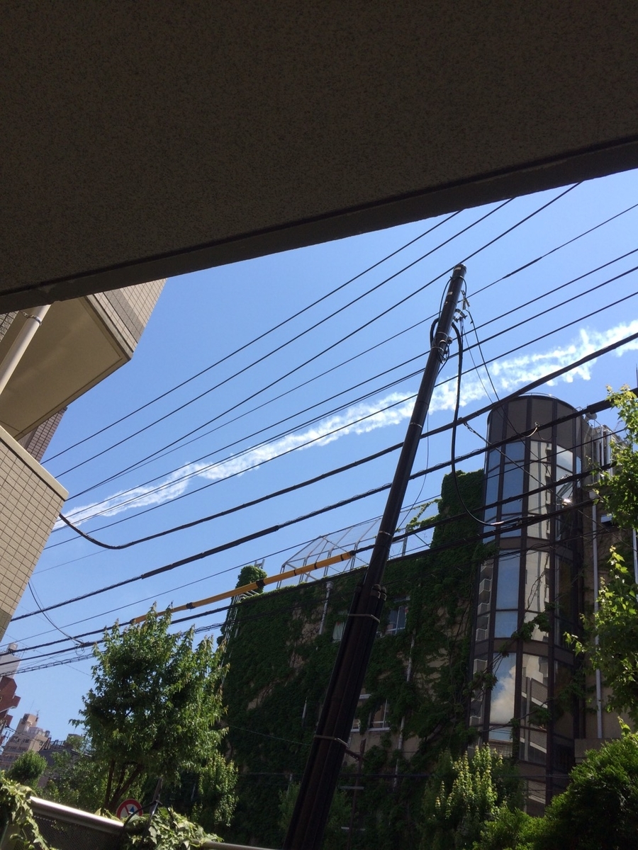 f:id:Ikegamiblog_tokyo:20200529214746j:plain