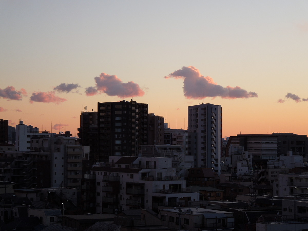 f:id:Ikegamiblog_tokyo:20210227133832j:plain
