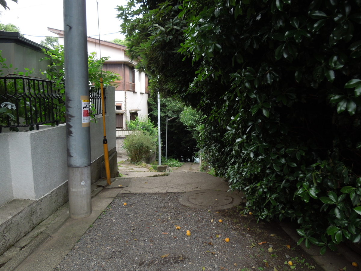 f:id:Ikegamiblog_tokyo:20210607235619j:plain