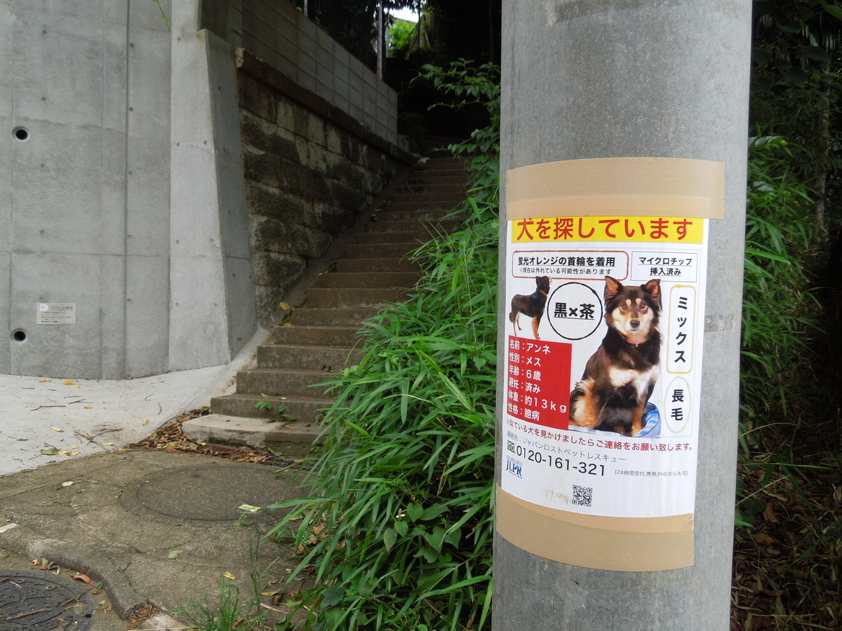 f:id:Ikegamiblog_tokyo:20210607235813j:plain