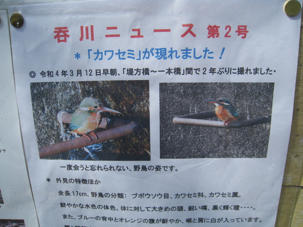 f:id:Ikegamiblog_tokyo:20220317213439j:plain