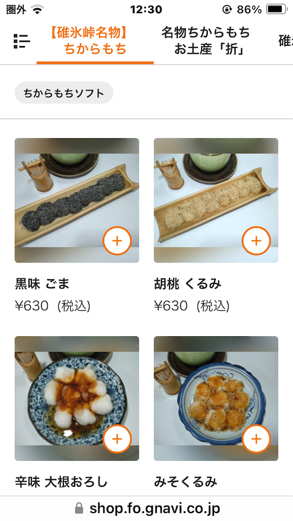 f:id:Ikegamiblog_tokyo:20240630141317p:image