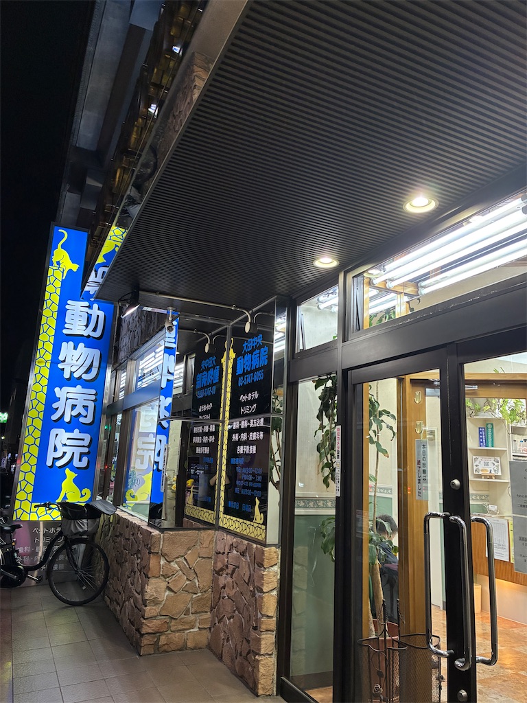 f:id:Ikegamiblog_tokyo:20250510002858j:image