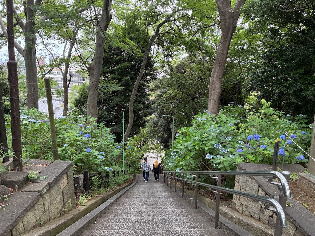 f:id:Ikegamiblog_tokyo:20250615104426j:image