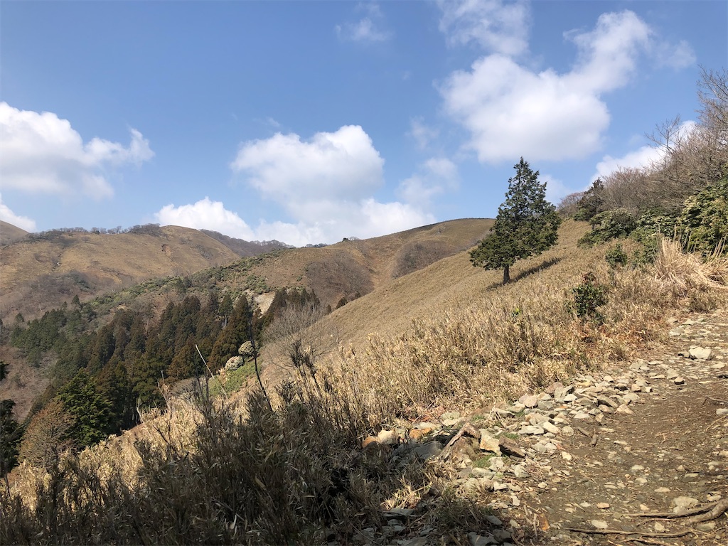 f:id:Ikurachang:20210328100003j:image