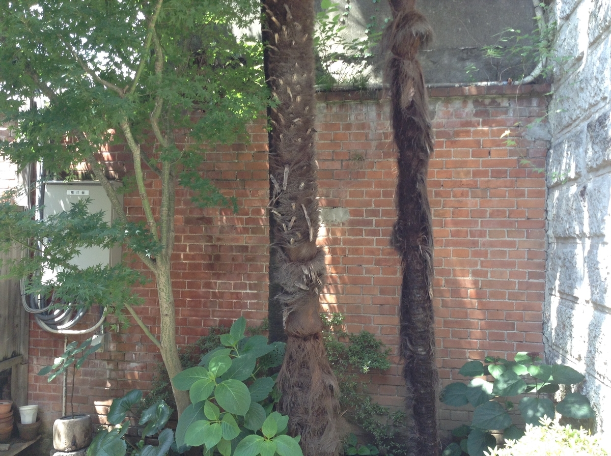 f:id:Iledelalphabet:20190628142418j:plain