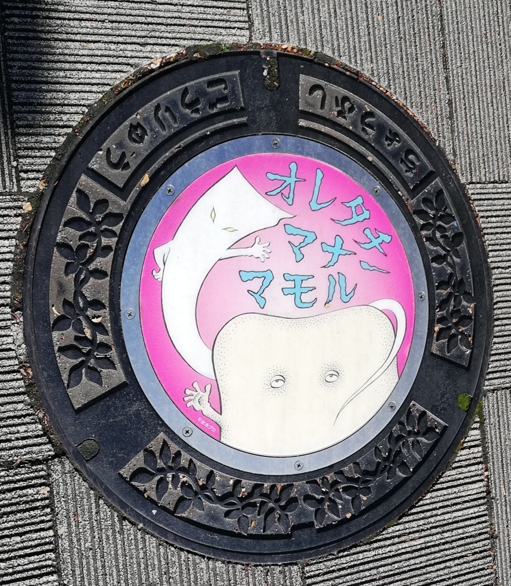 f:id:Iledelalphabet:20201214221249j:plain