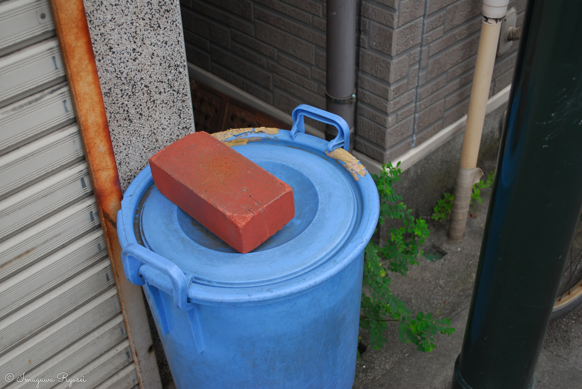 f:id:ImagawaRyusei:20211006220135j:plain