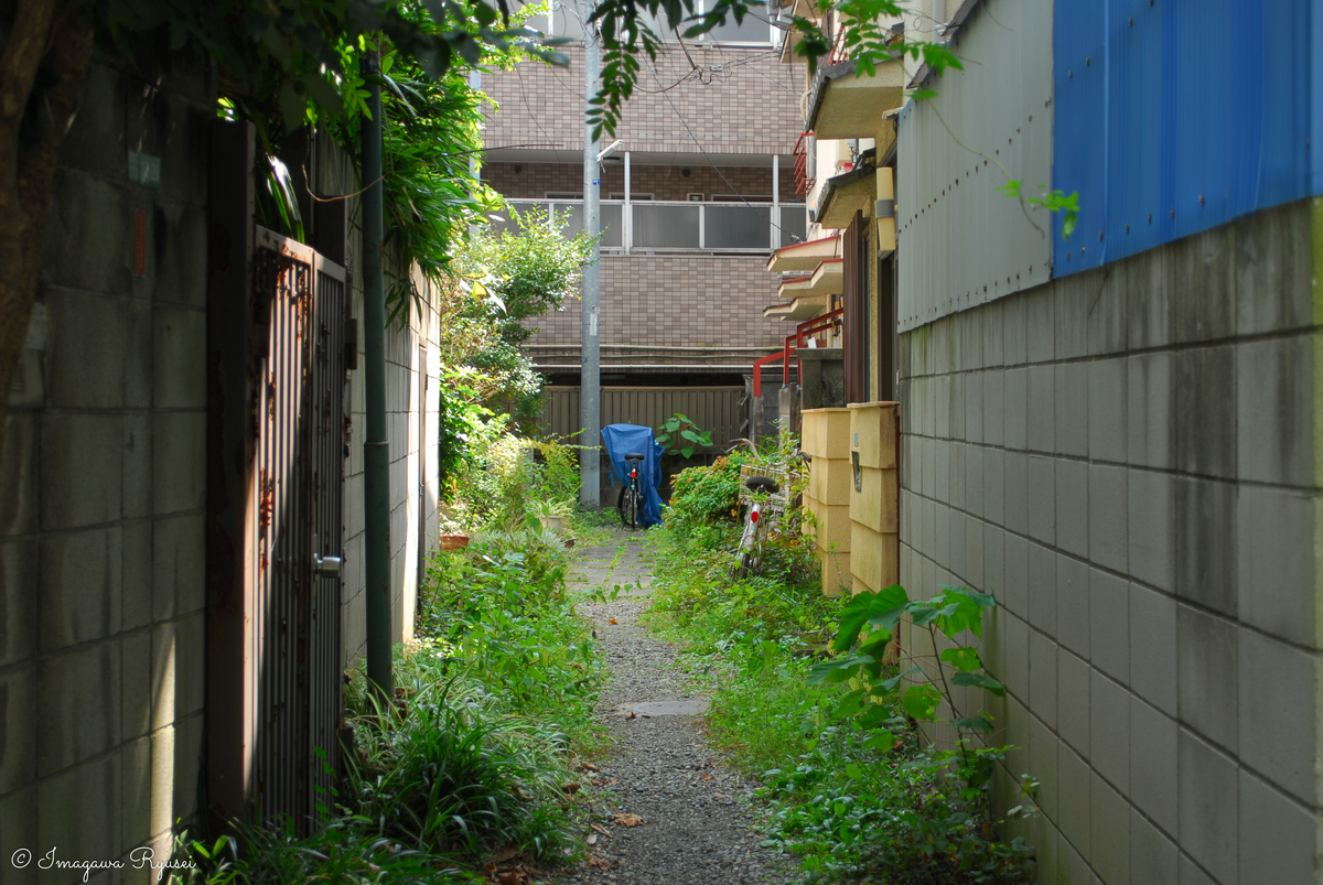 f:id:ImagawaRyusei:20211006224259j:plain