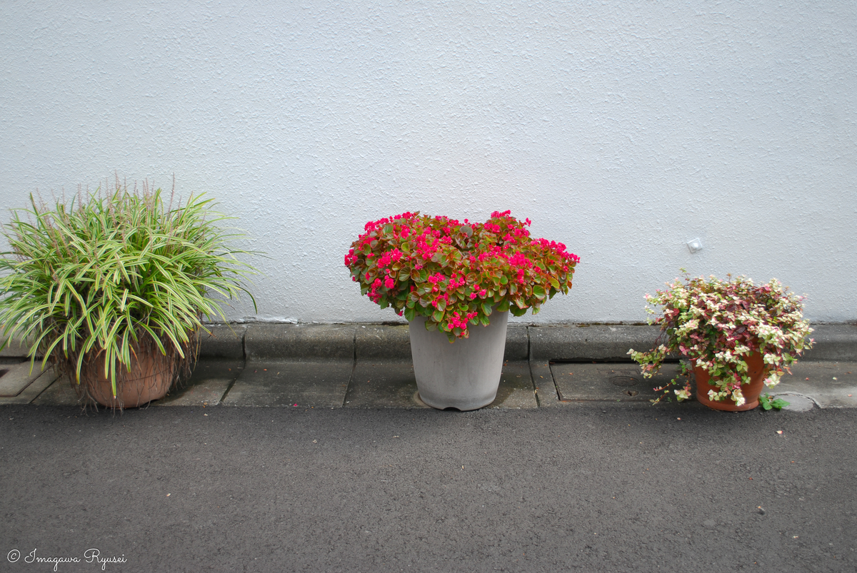 f:id:ImagawaRyusei:20211006224313j:plain