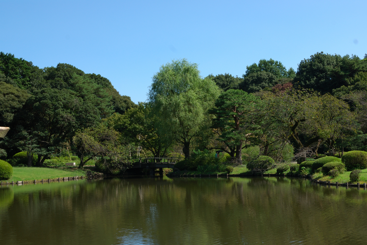 f:id:ImagawaRyusei:20211009012735j:plain