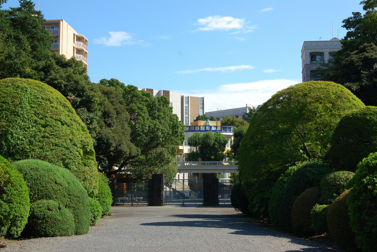 f:id:ImagawaRyusei:20211009013928j:plain