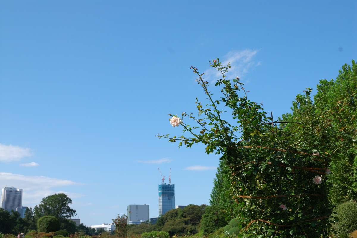 f:id:ImagawaRyusei:20211009014001j:plain