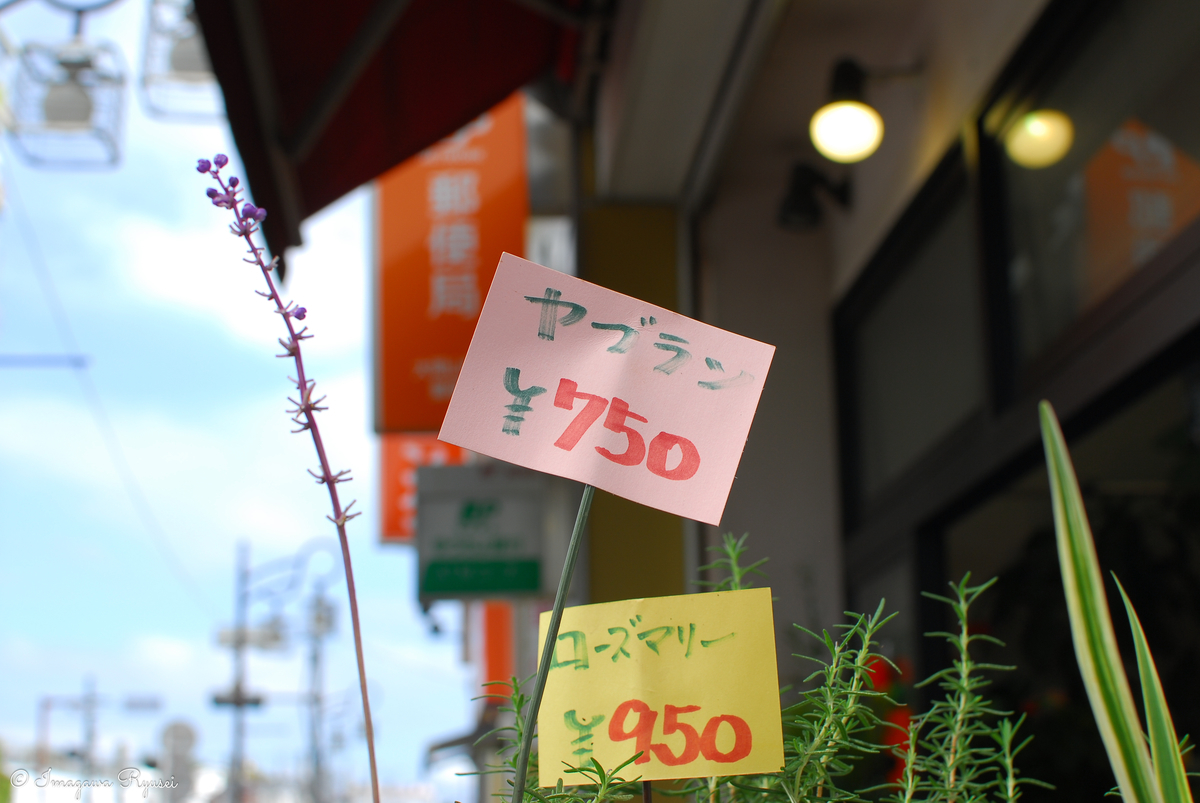 f:id:ImagawaRyusei:20211012153550j:plain