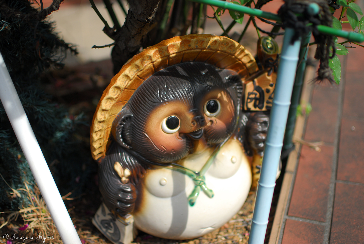 f:id:ImagawaRyusei:20211012153843j:plain
