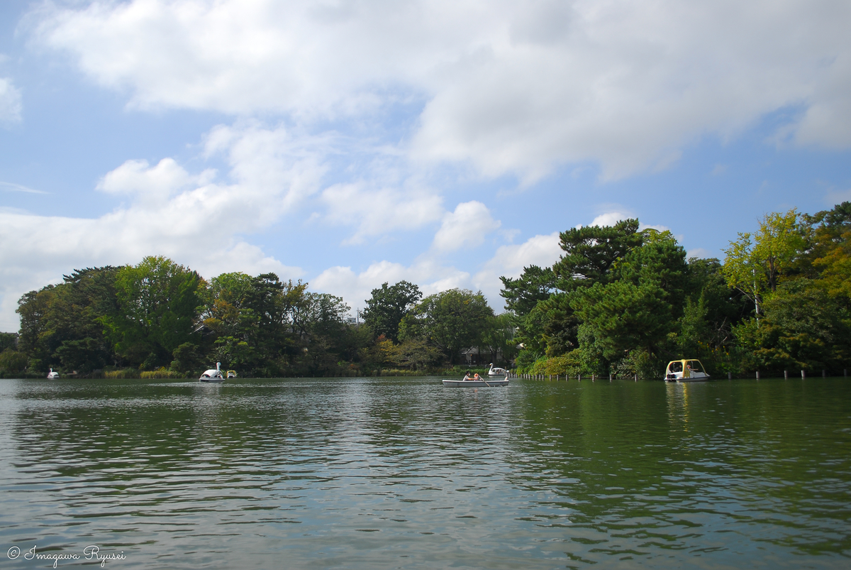 f:id:ImagawaRyusei:20211012160429j:plain