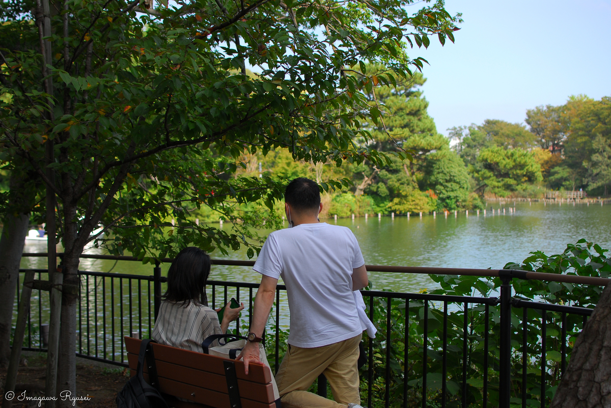 f:id:ImagawaRyusei:20211014013332j:plain