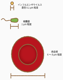 f:id:Imakiyo:20210213083226p:plain