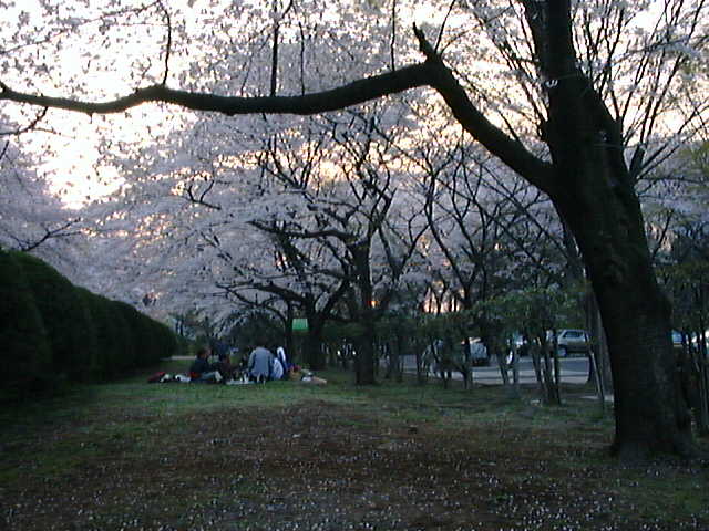 f:id:Imamura:19980404174443j:plain
