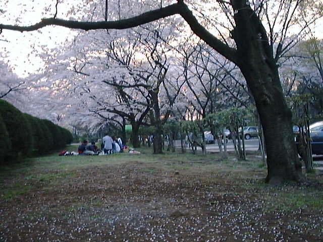 f:id:Imamura:19980404174500j:plain