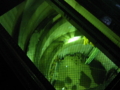 20031120122036