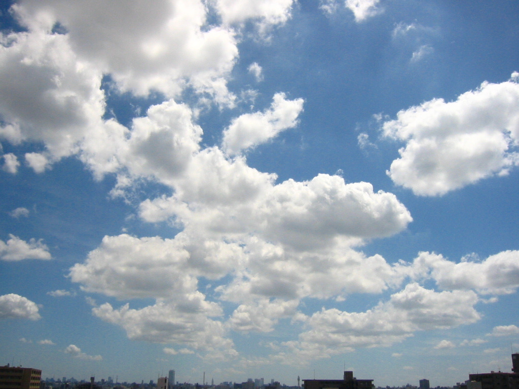 f:id:Imamura:20040801130202j:plain