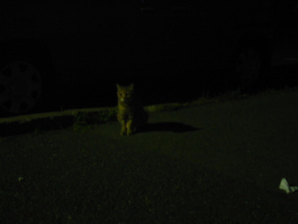 f:id:Imamura:20050527205034j:plain:h150