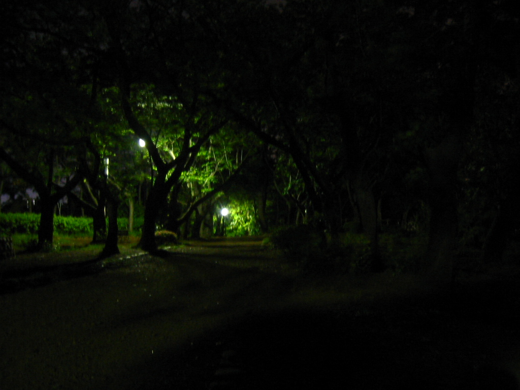 f:id:Imamura:20050527221947j:plain:h150