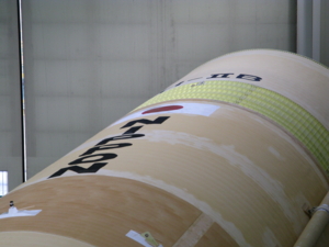 f:id:Imamura:20090212150404j:plain