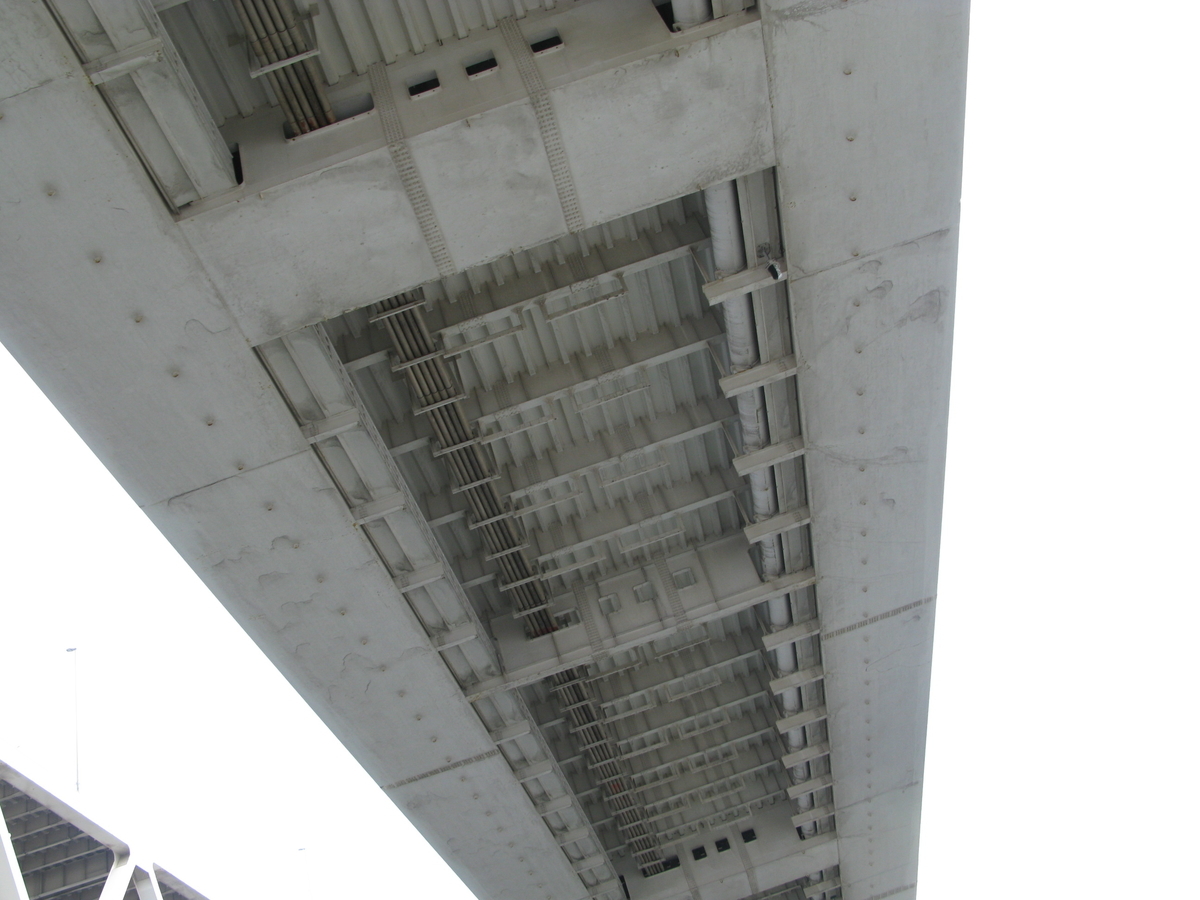 f:id:Imamura:20090616151810j:plain:h140