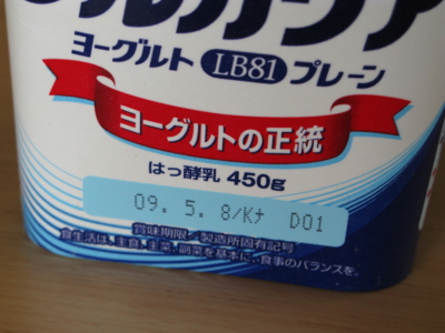 f:id:Imamura:20090711111708j:plain
